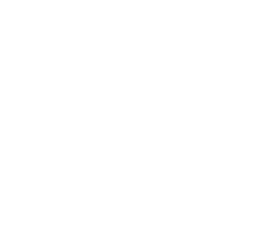 金融业务增长 - 雷速体育